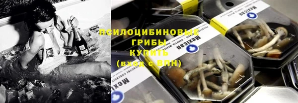 мескалин Богородицк